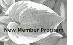 New Membership Program